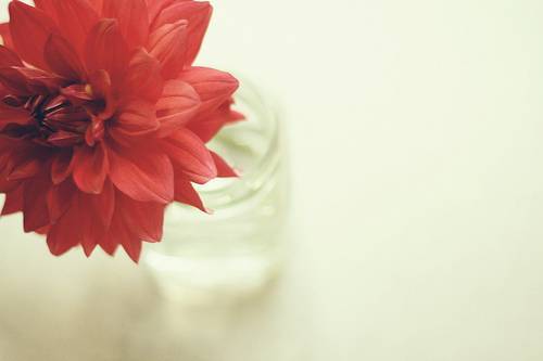 关于平安夜的说说 (图1)