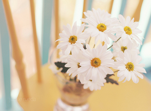 有关于圣诞节的说说 (图1)