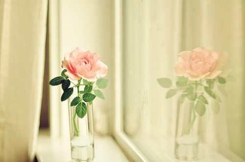 致青春的说说 (图1)