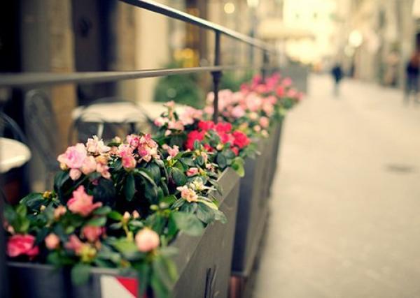 人生的幸福，不在于富足，而在于满足 