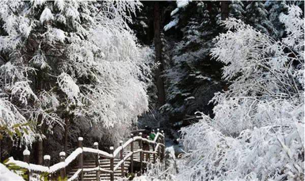 关于青春的情感文字说说 