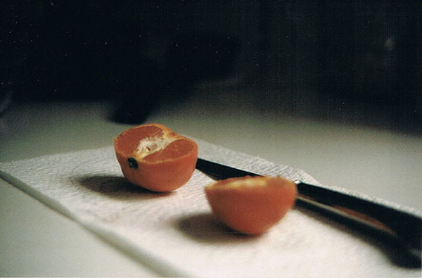 感情,总是在人最艰难最脆弱的时候建立 说(图1) 感情,总是在人最艰难最脆弱的时候建立 说(图1)