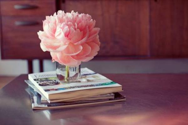 生活有进有退，输什么也不能输了心情 