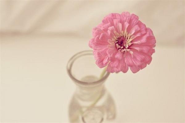 感悟人生的QQ说说 (图1)