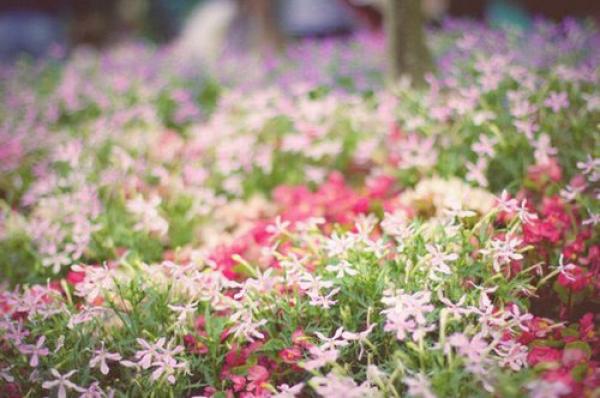 孤独的QQ空间说说 (图1)