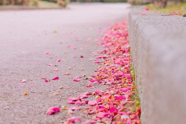 人一切的痛苦，本质上都是对自己的无能的愤