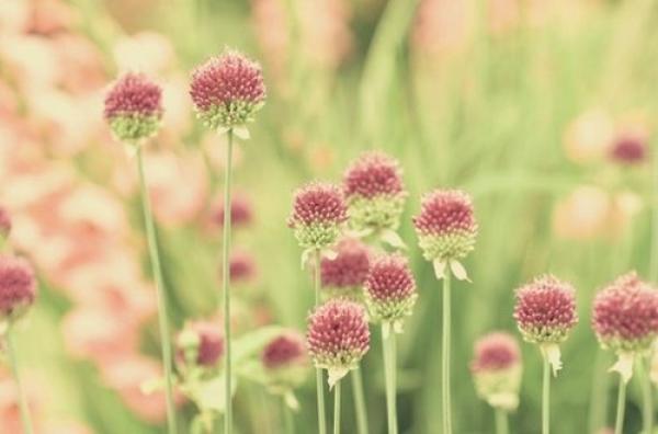 愿意放弃才不会苦，适度知足才不会悔 