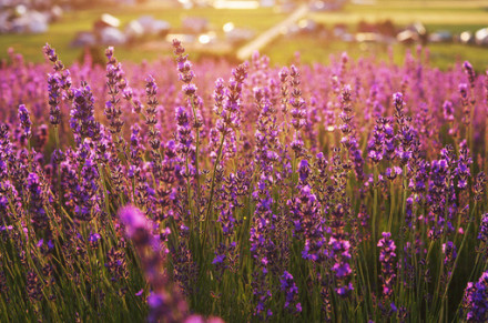 想念，应该是美好的 