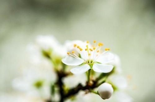 qq空间英文留言 (图1)