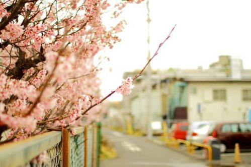 秋天的心情说说 (图1)