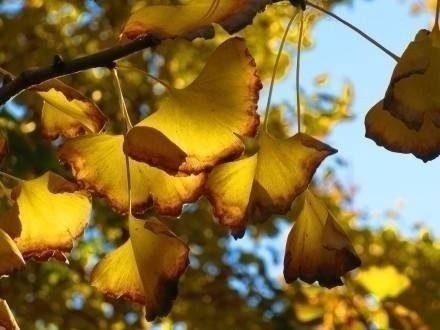 有关秋天的句子大全 (图2)