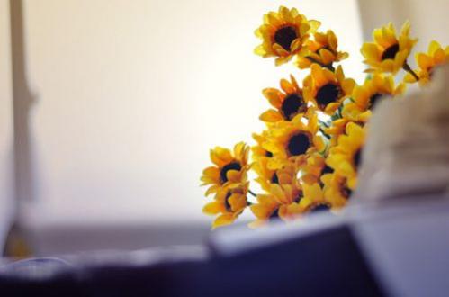 心情不好的个性说说 (图1) 心情不好的个性说说 (图1)