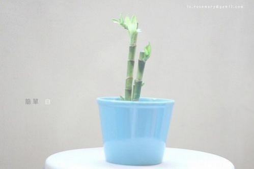 那些感人个性签名 感动人的精彩文字说说 