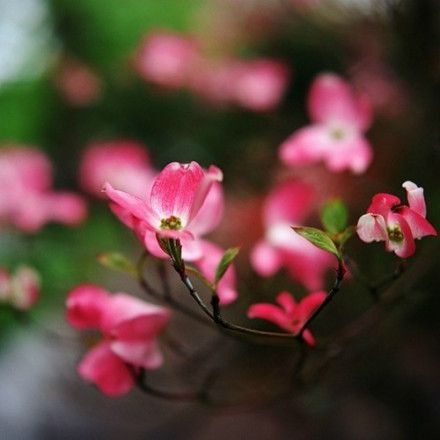 微博情感语录 其实深拥,比什么都温暖 (图2)