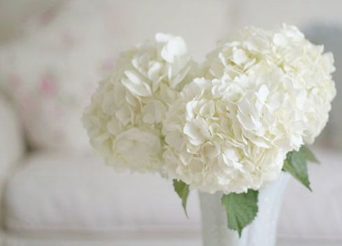 26条伤感心情说说 (图1)