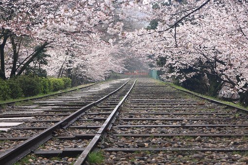 很无奈的个性签名 其实放弃也是一种爱，因为这(图1)