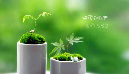 寂寞的伤感心情说说大全 