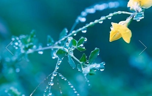 关于生日的说说 幸运的你，明天会更好 (图1)