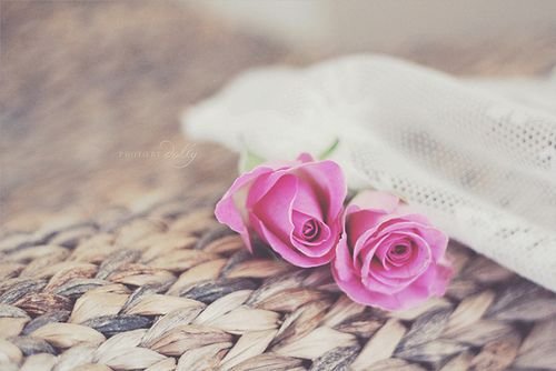 关于七夕的个性签名 花心被人骂。专心被人