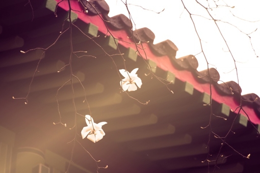 文字控说说加图片 别拿刀捅我的心，那里面的是(图4)