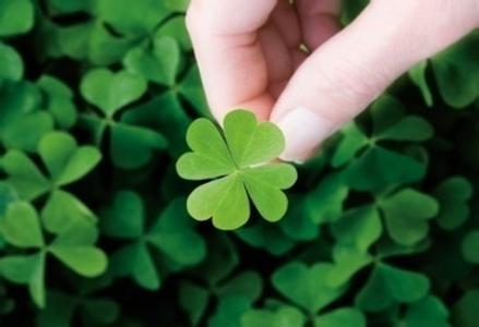 微信说说2017最新说说 (图1)