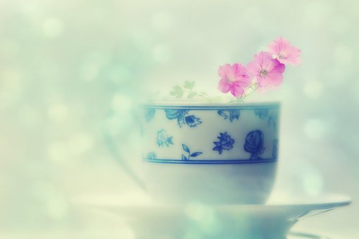 小清新图片说说大全 (图10)