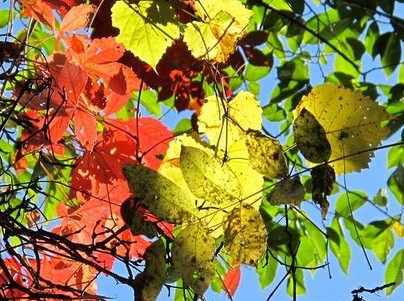 青春励志说说带图片 (图9)