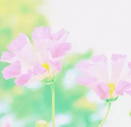 早安心语心情说说 