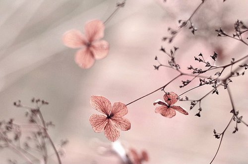 qq签名经典句子说说大全 