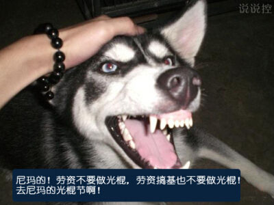 光棍节说说带图片,光棍节图片说说大全9 关于光棍节的图片 光棍节图片说说大全 (图7)