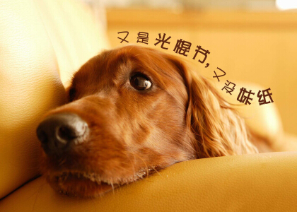 关于光棍节的图片 光棍节图片说说大全 