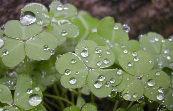 下雨天的心情说说图片 (图6) 下雨天的心情说说图片 (图6)