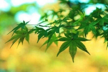 文字控图片说说心情短语 (图4) 文字控图片说说心情短语 (图4)