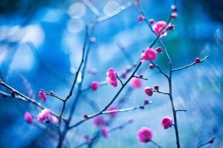 文字控图片说说心情短语 (图8) 文字控图片说说心情短语 (图8)