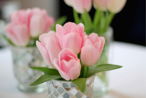 好听的说说带图片 (图1) 好听的说说带图片 (图1)