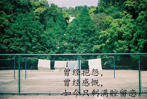 初三毕业说说带图片 (图4)