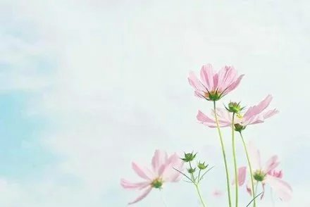 有点伤感的说说带图片 (图5) 有点伤感的说说带图片 (图5)
