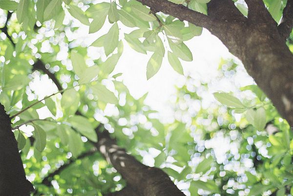 带图片的qq心情短语 (图3) 带图片的qq心情短语 (图3)