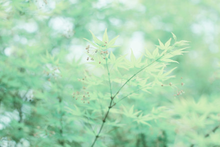 孤独伤感的说说带图片 (图6) 孤独伤感的说说带图片 (图6)