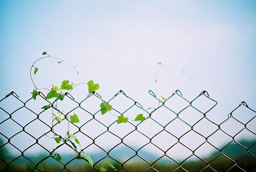 关于初恋的图片说说心情短语 (图7) 关于初恋的图片说说心情短语 (图7)
