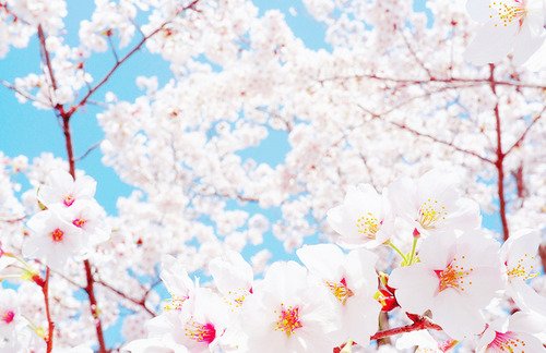 女生伤感图片说说短语 (图10) 女生伤感图片说说短语 (图10)