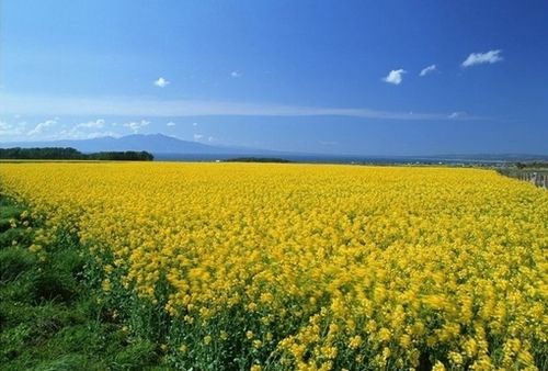QQ空间悲伤的说说图片 (图4) QQ空间悲伤的说说图片 (图4)