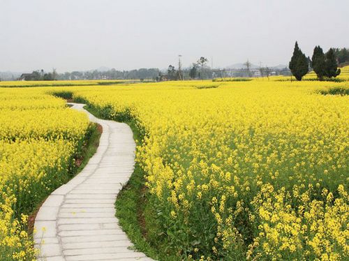 QQ空间悲伤的说说图片 (图5) QQ空间悲伤的说说图片 (图5)
