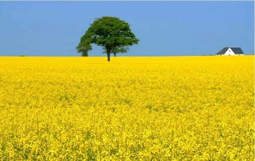 QQ空间悲伤的说说图片 (图6) QQ空间悲伤的说说图片 (图6)
