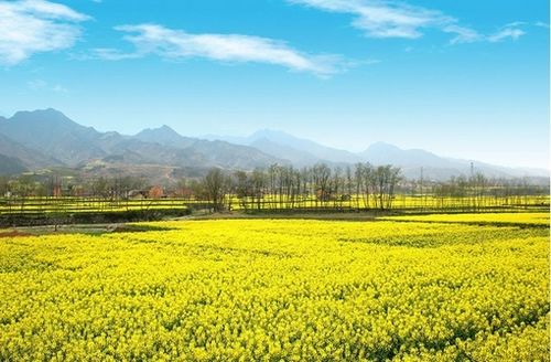 QQ空间悲伤的说说图片 (图7) QQ空间悲伤的说说图片 (图7)