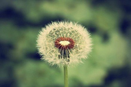 qq空间烦恼的说说图片短语 (图4)