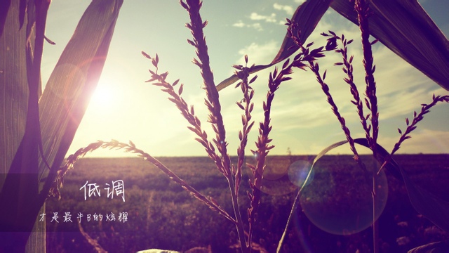 带图片的QQ空间生活说说 (图4) 带图片的QQ空间生活说说 (图4)