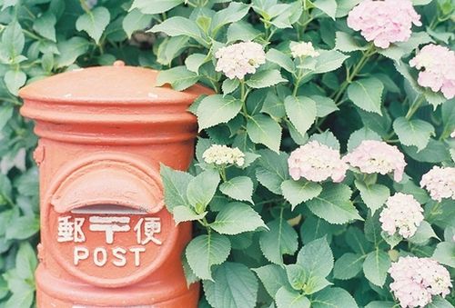 正能量说说带图片短语 (图4) 正能量说说带图片短语 (图4)