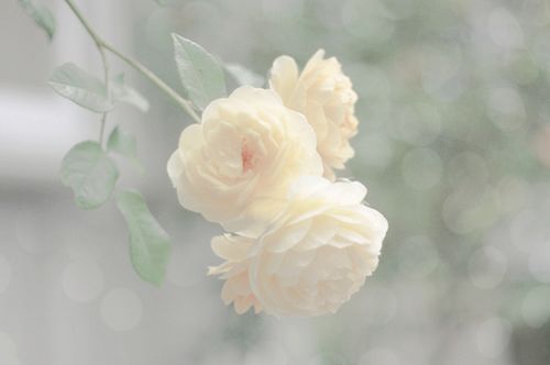 正能量说说带图片短语 (图5) 正能量说说带图片短语 (图5)