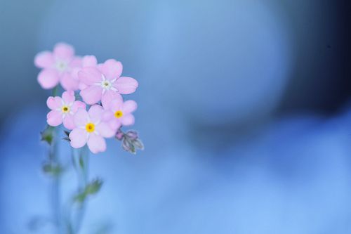 说说带图片伤感 (图3) 说说带图片伤感 (图3)
